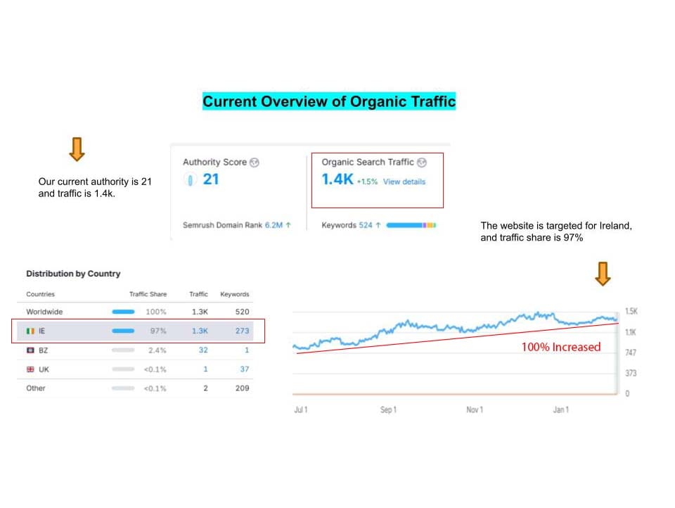 website growth organic traffic seo service